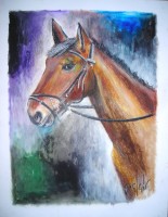 /album/pastels-et-dessins/portrait-de-cooky-05-02-2009-jpg/